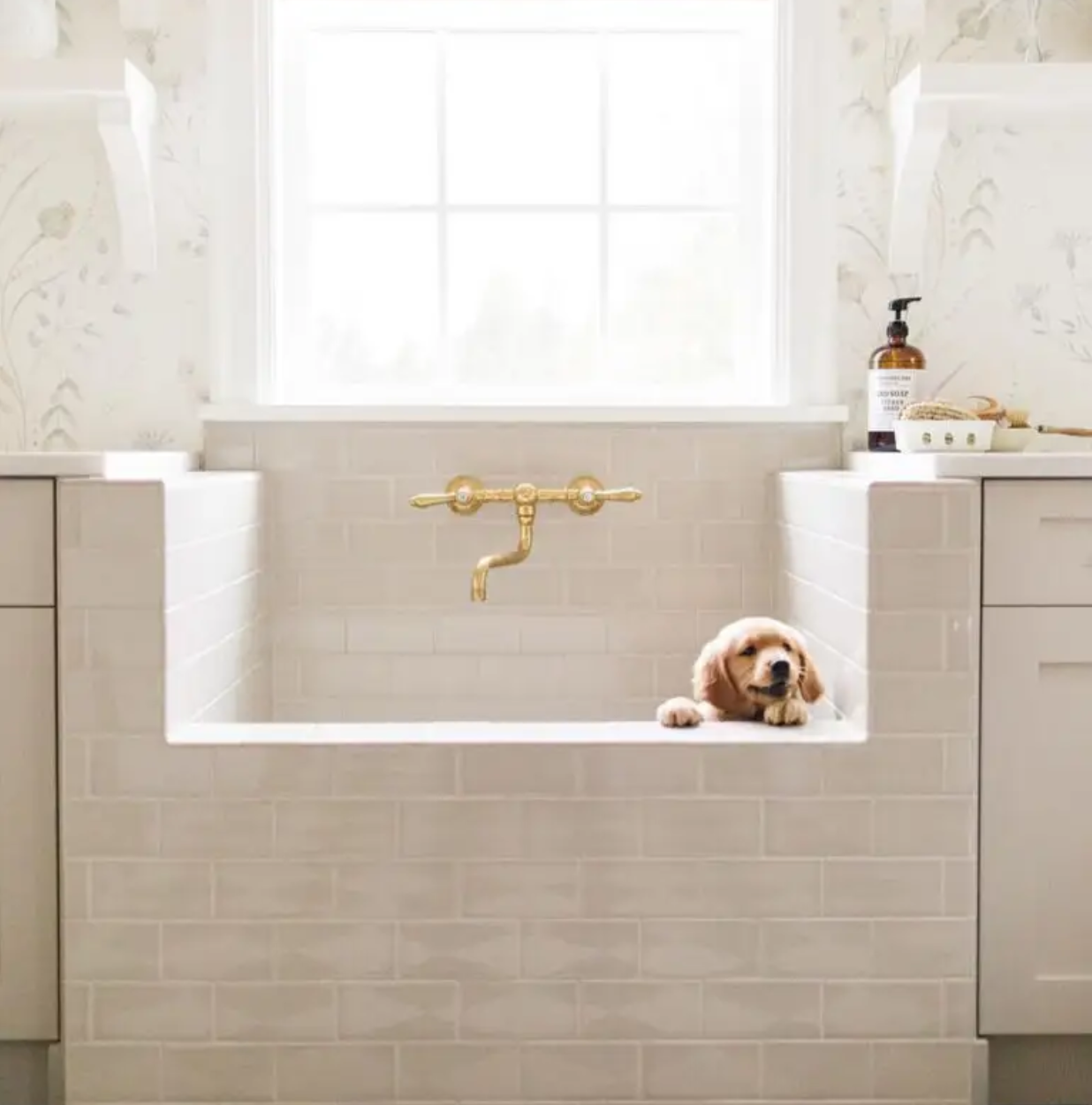 custom pet bath, mud room renovation, laundry room remodeling, renovation designer central VA, tile pet bath, renovation design Richmond VA