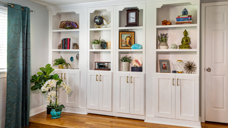 From Demo to Dream, A Masterclass in Closet Renovations